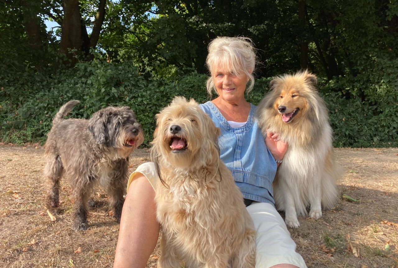 Trainingsbereiche - FREUNDliche Hunde Viersen Trainingsbereiche - FREUNDliche Hunde Viersen