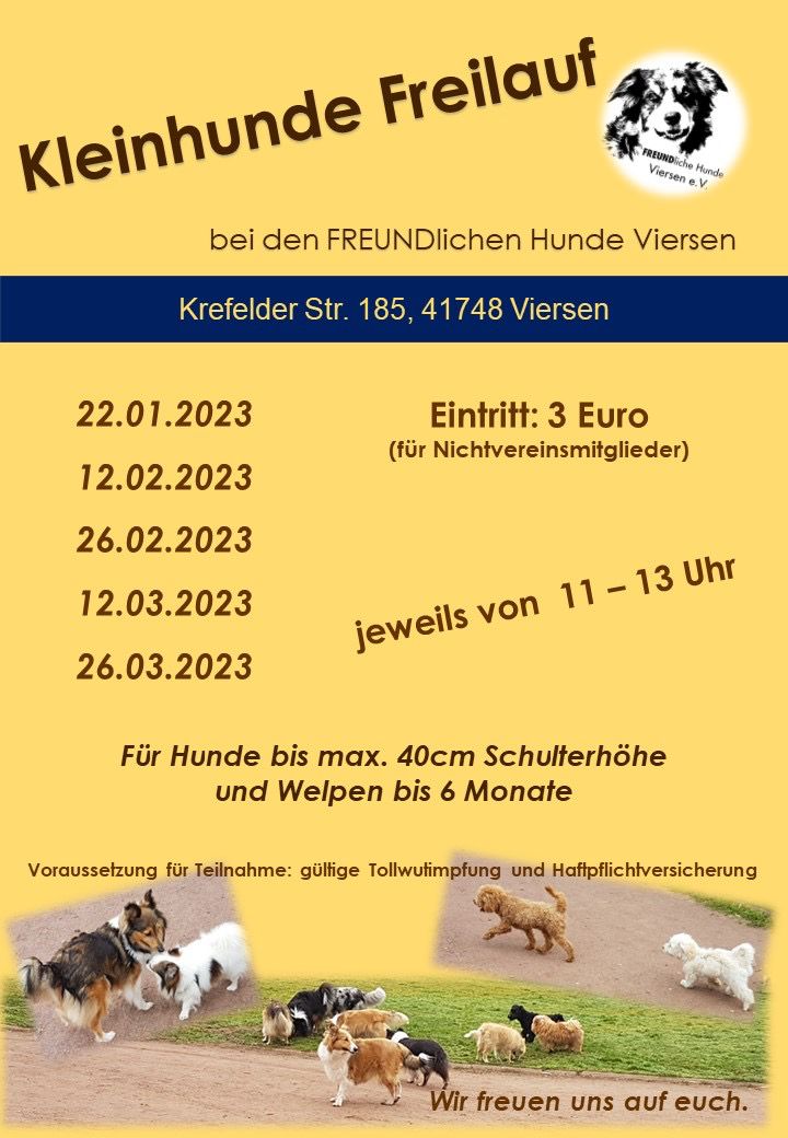 kleinhunde-freilauf-2023