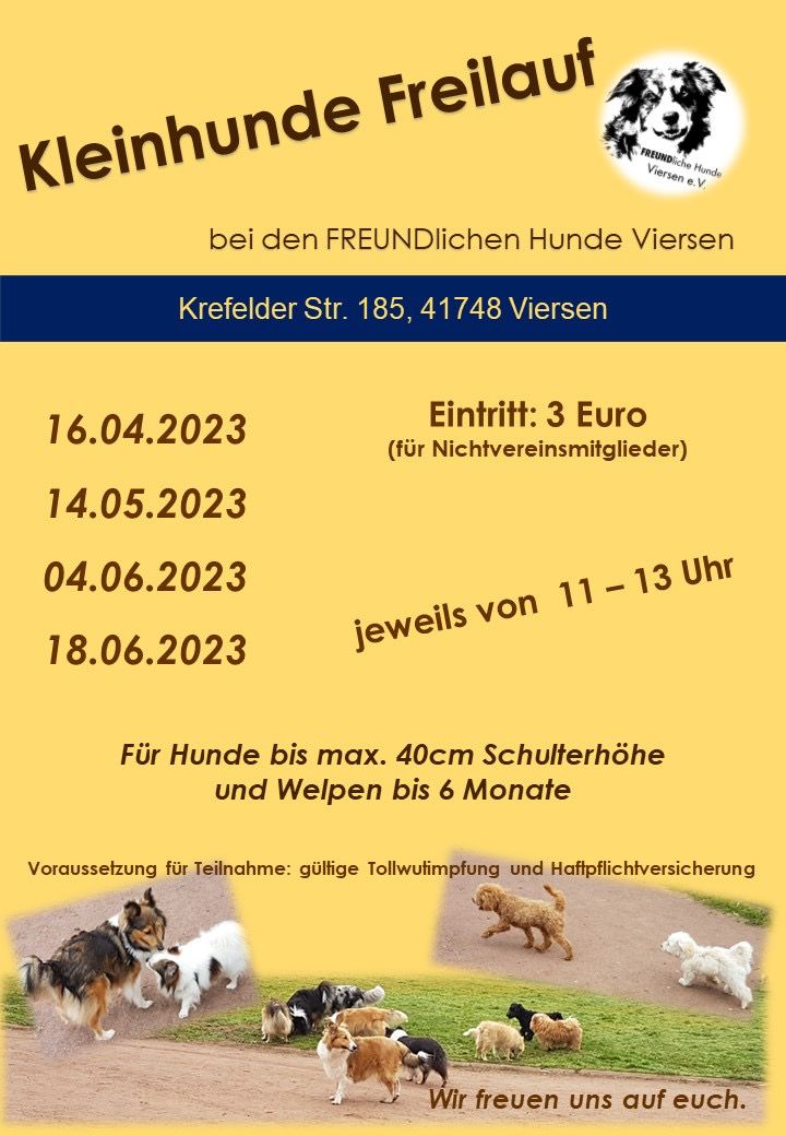 kleinhunde-freilauf-2023-teil2